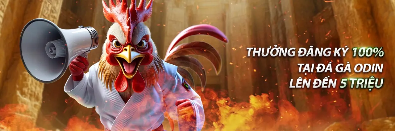 Blog vn999 - Cập nhật tin tức và hướng dẫn mới nhất