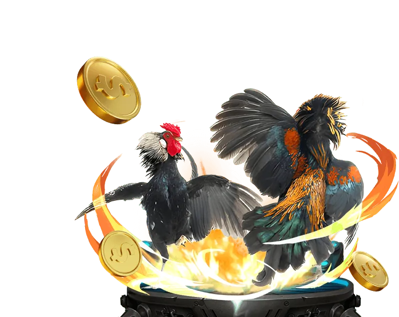 Nền tảng vn999 hàng đầu