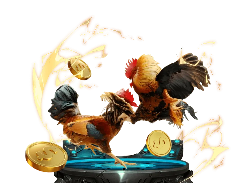 Bảo mật dữ liệu tại vn999