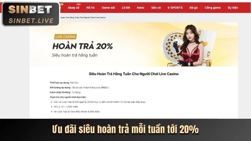 Phân tích chuyên sâu nền tảng vn999